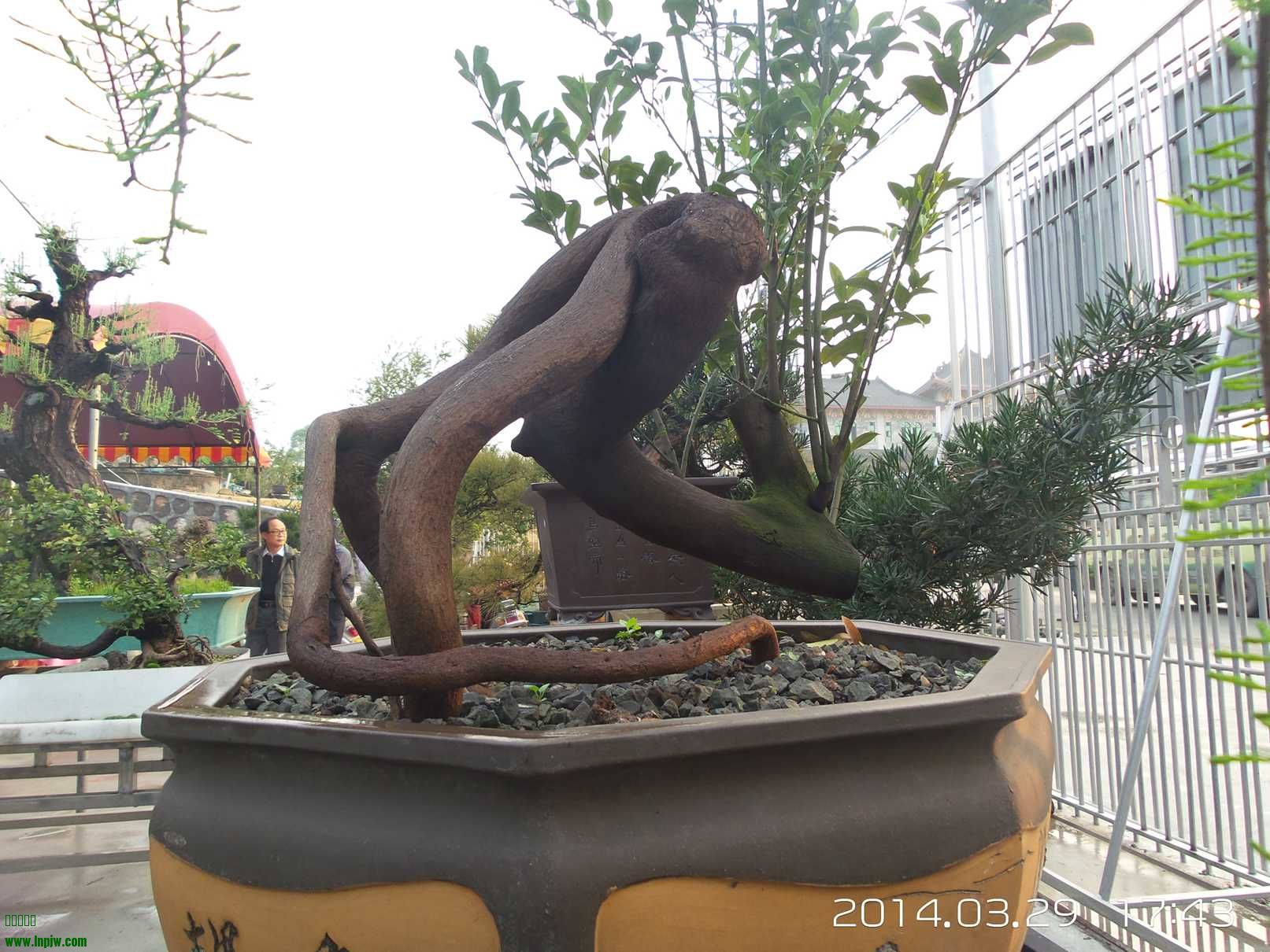 20140329_174324.jpg