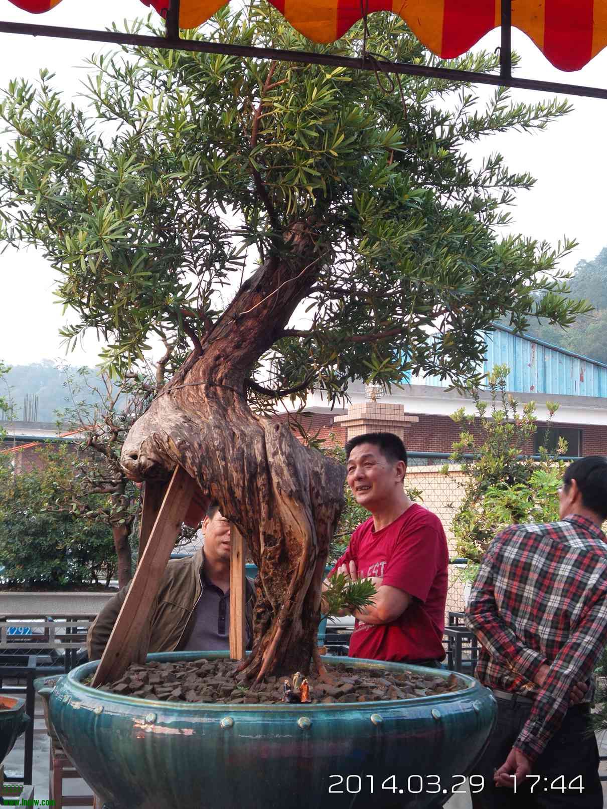 20140329_174422.jpg