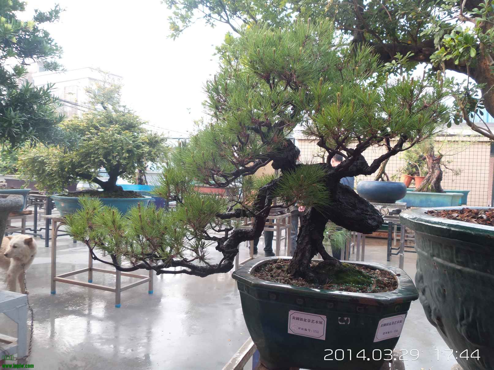 20140329_174449.jpg