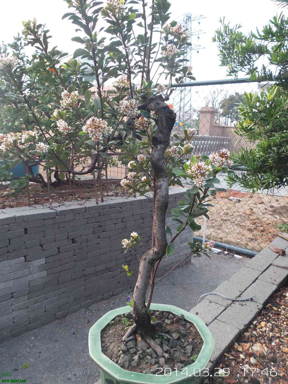 20140329_174624.jpg