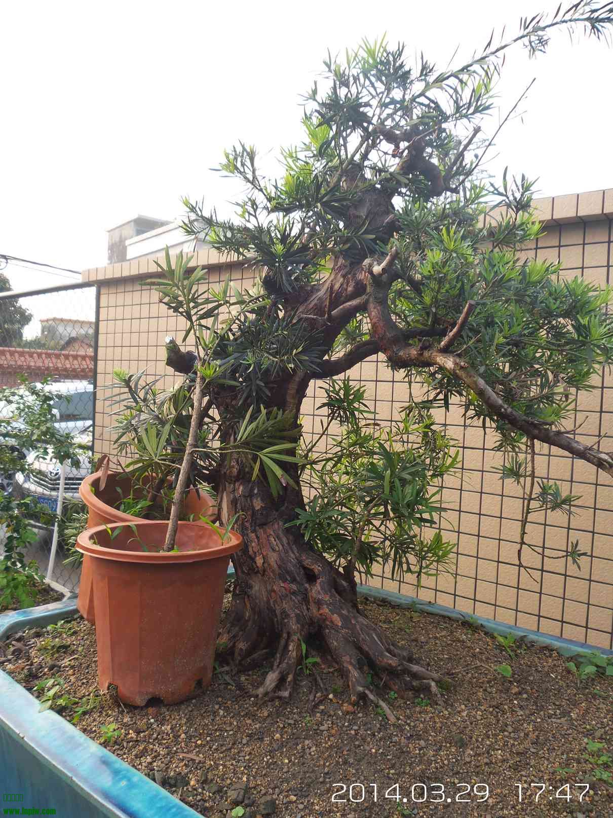20140329_174706.jpg