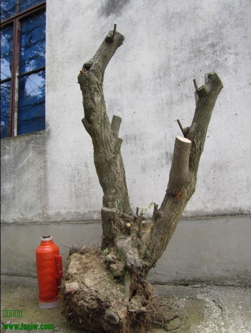 QQͼƬ20140401174513.jpg