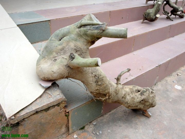 й22.jpg