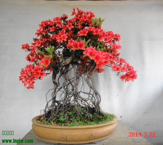 DSC06613.JPG