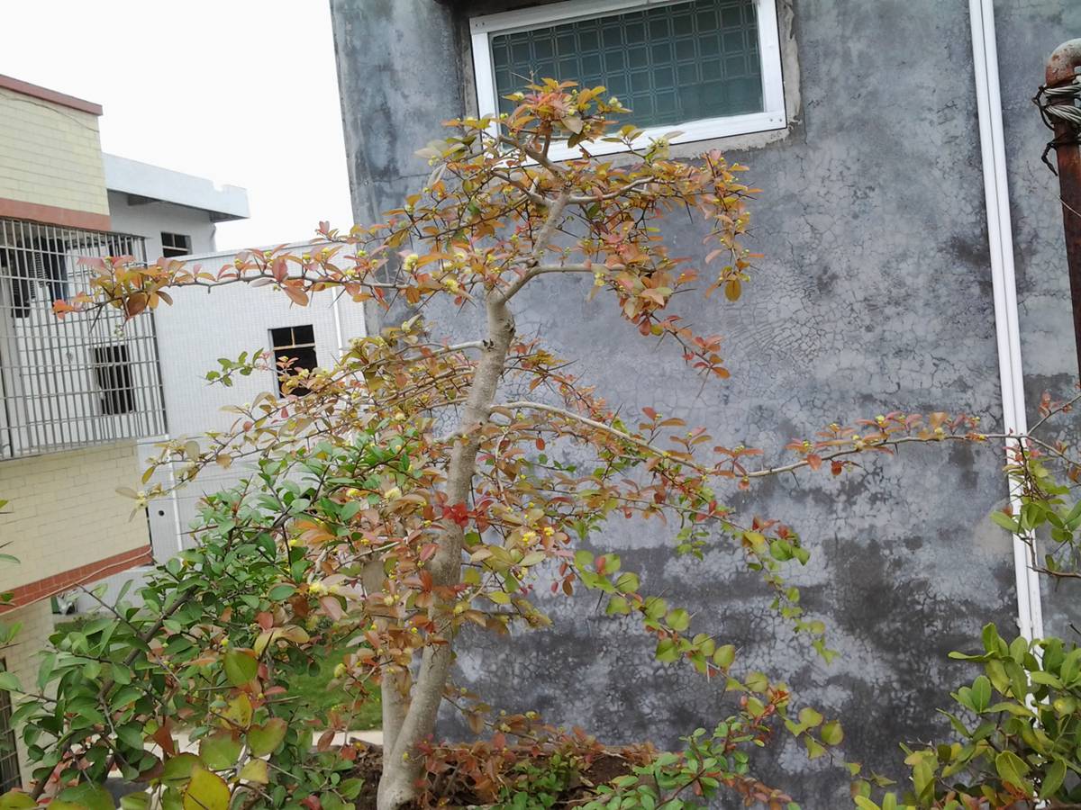 2013-02-23 14.10.36.jpg