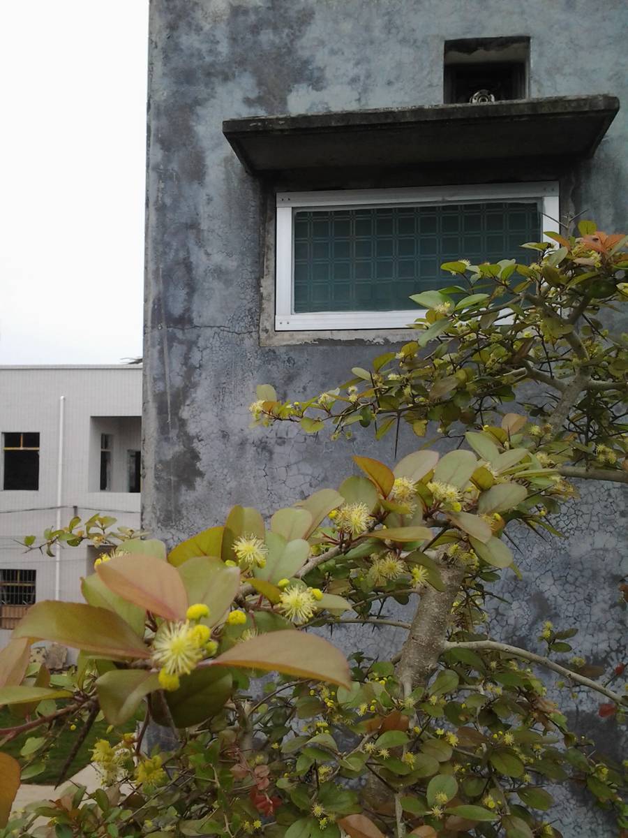 2013-03-03 11.50.12.jpg