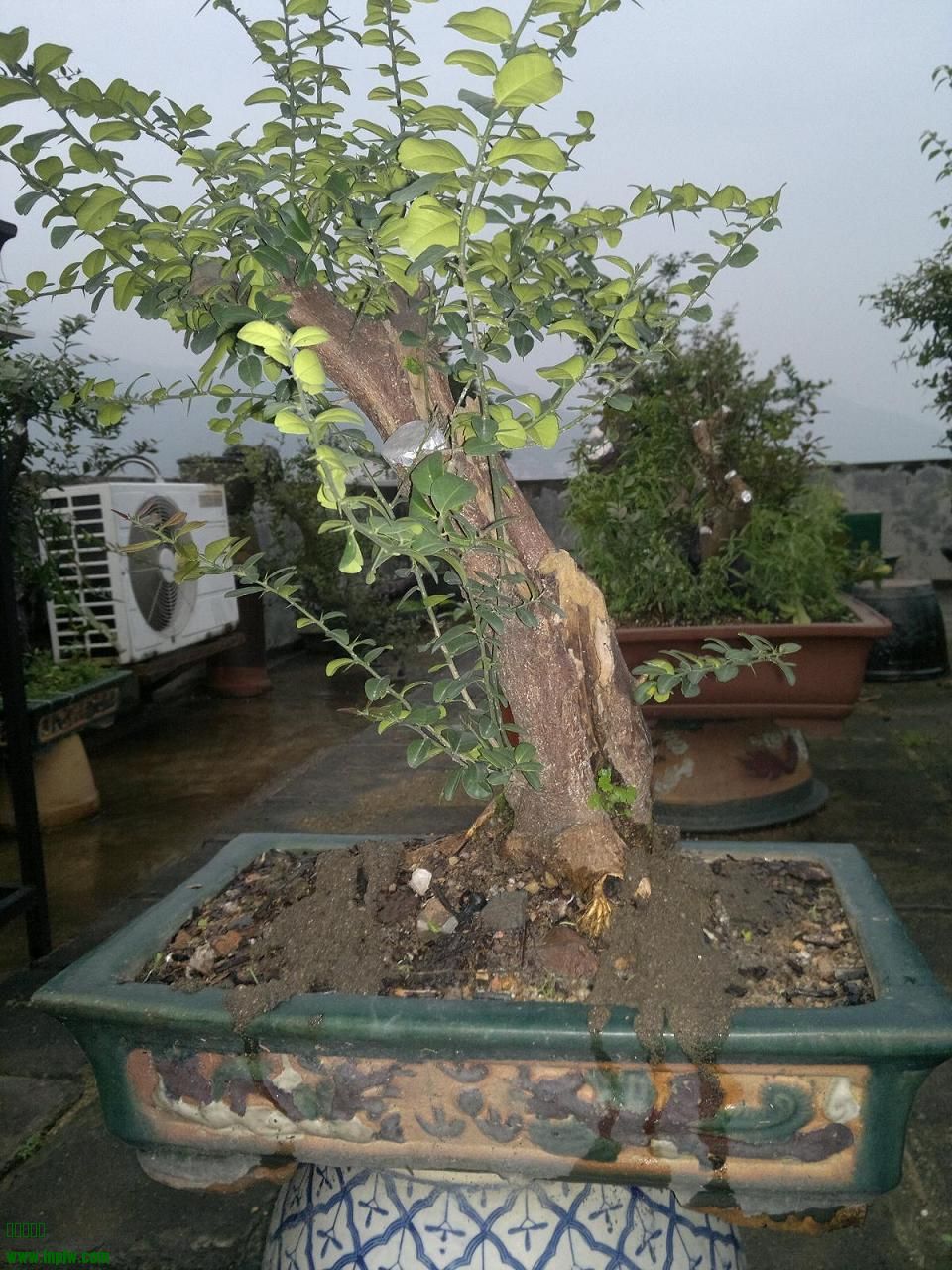 201403311903.jpg