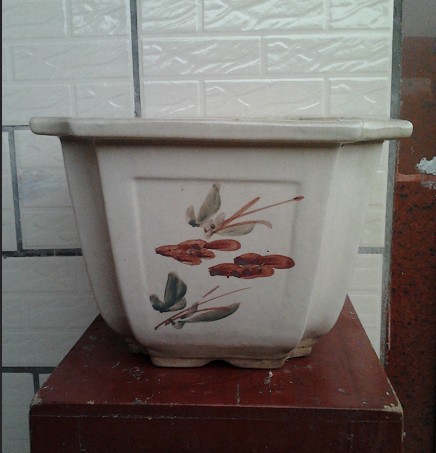QQͼƬ20140403104909.jpg
