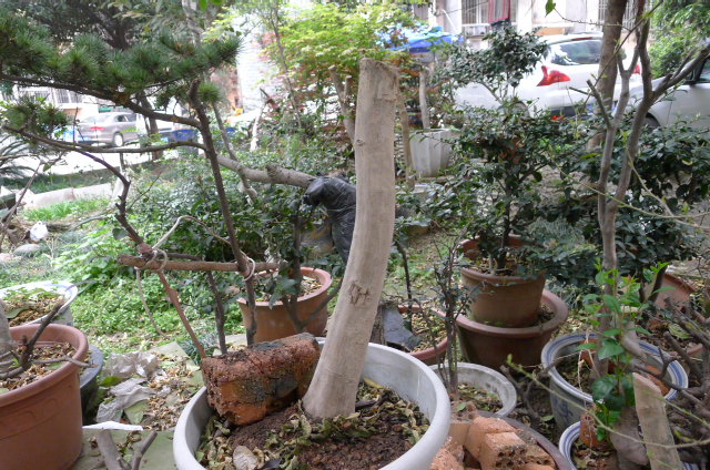 P1020999.JPG