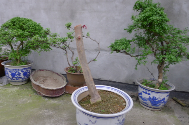 P1030028.JPG