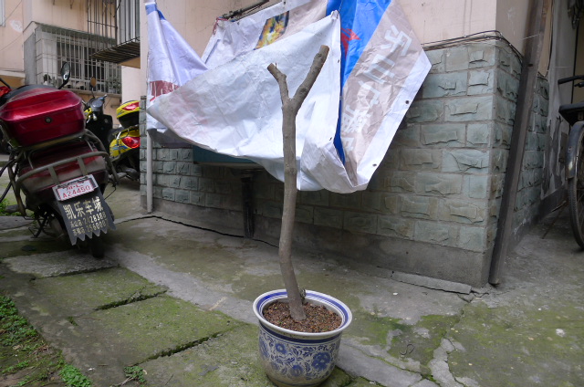 P1030011.JPG