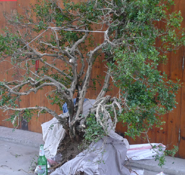 2014-4-2 16-33-39-1.jpg