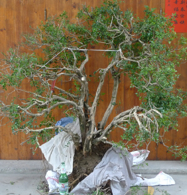 2014-4-2 16-26-36-1.jpg