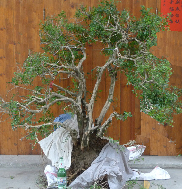 2014-4-2 16-26-36-1.jpg