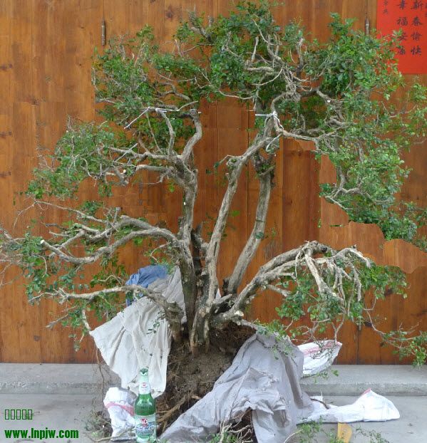 2014-4-2 16-26-36-2.jpg