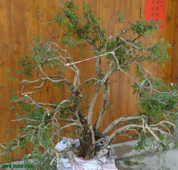 2014-4-4 13-46-07.jpg