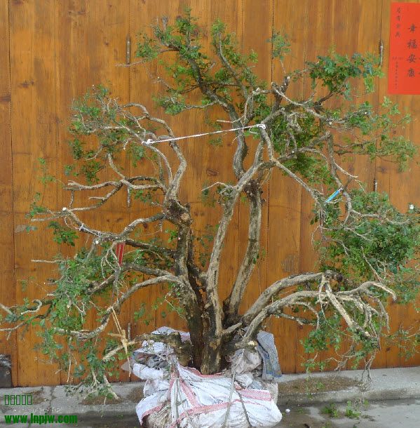 2014-4-4 13-43-24.jpg