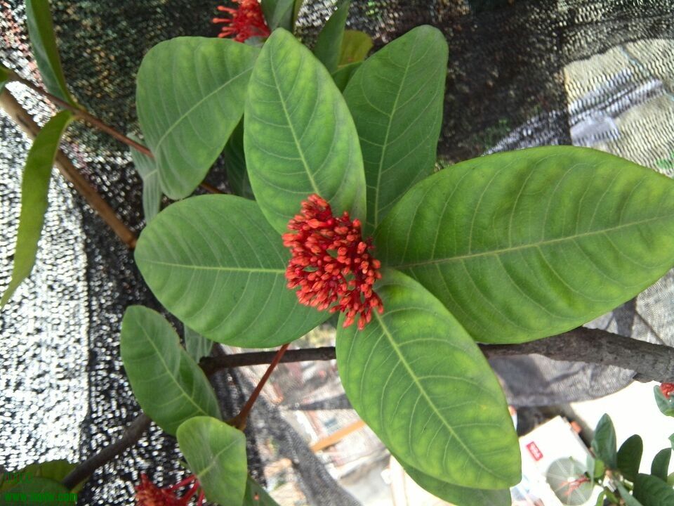 QQͼƬ20140404152316.jpg