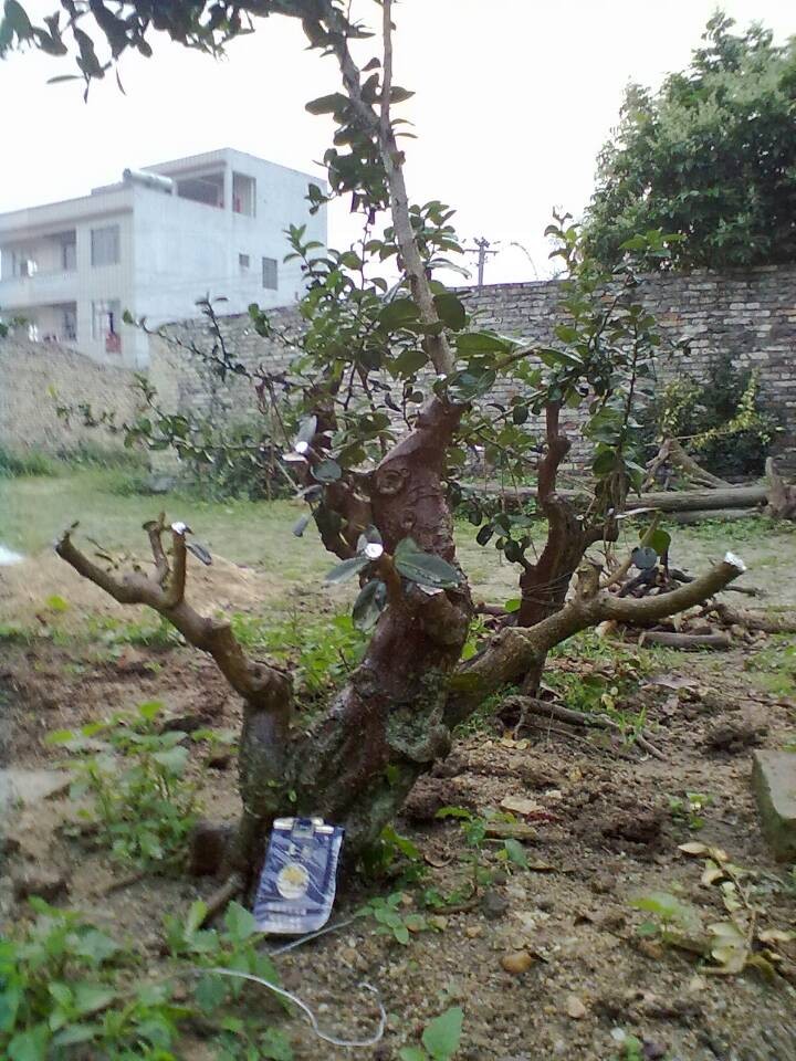 QQͼƬ20140404200858.jpg