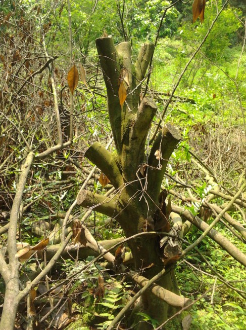 QQͼƬ20140405165434.jpg