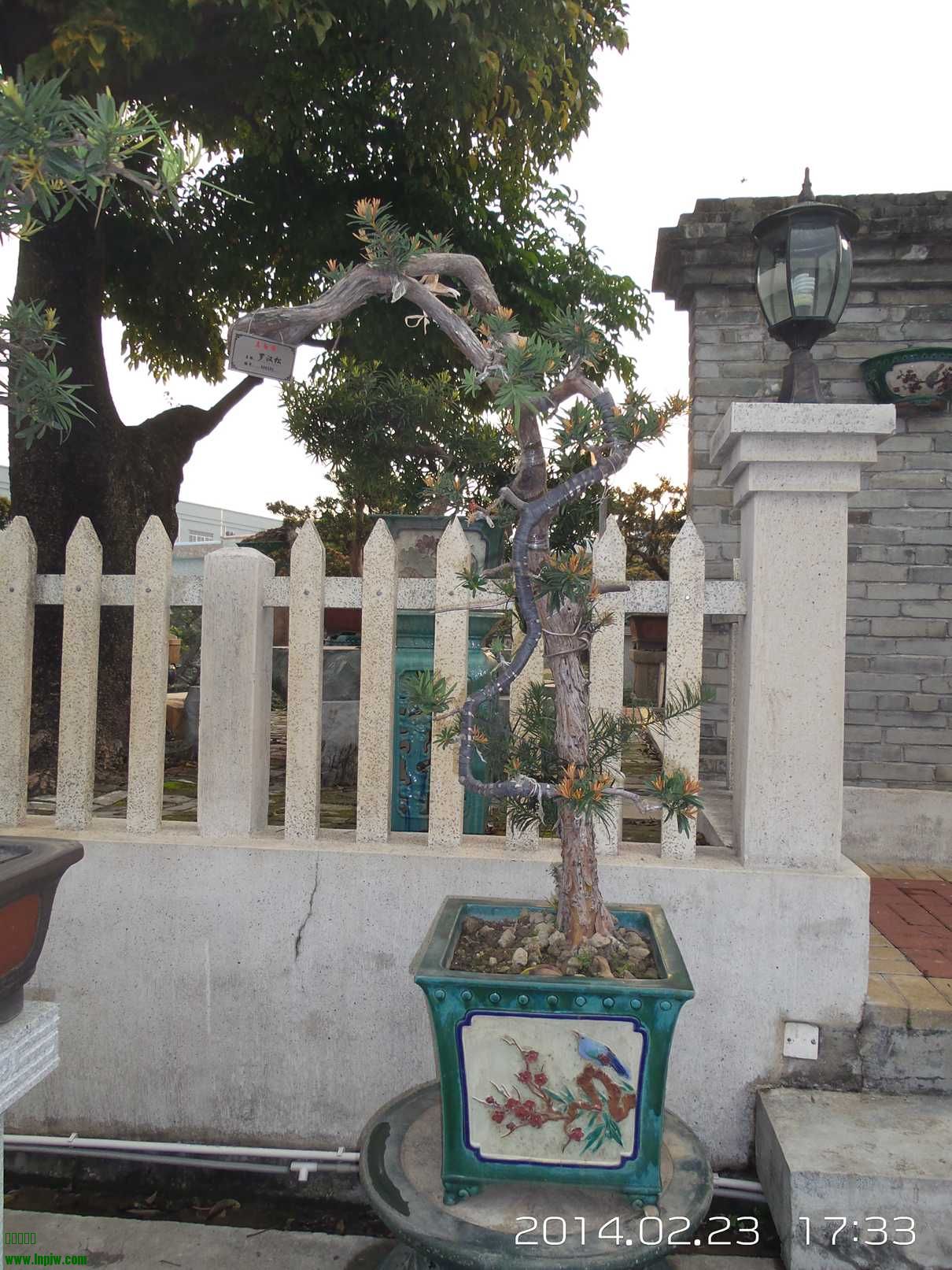 20140223_173302.jpg