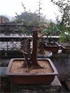 IMG_20140401_080337.jpg