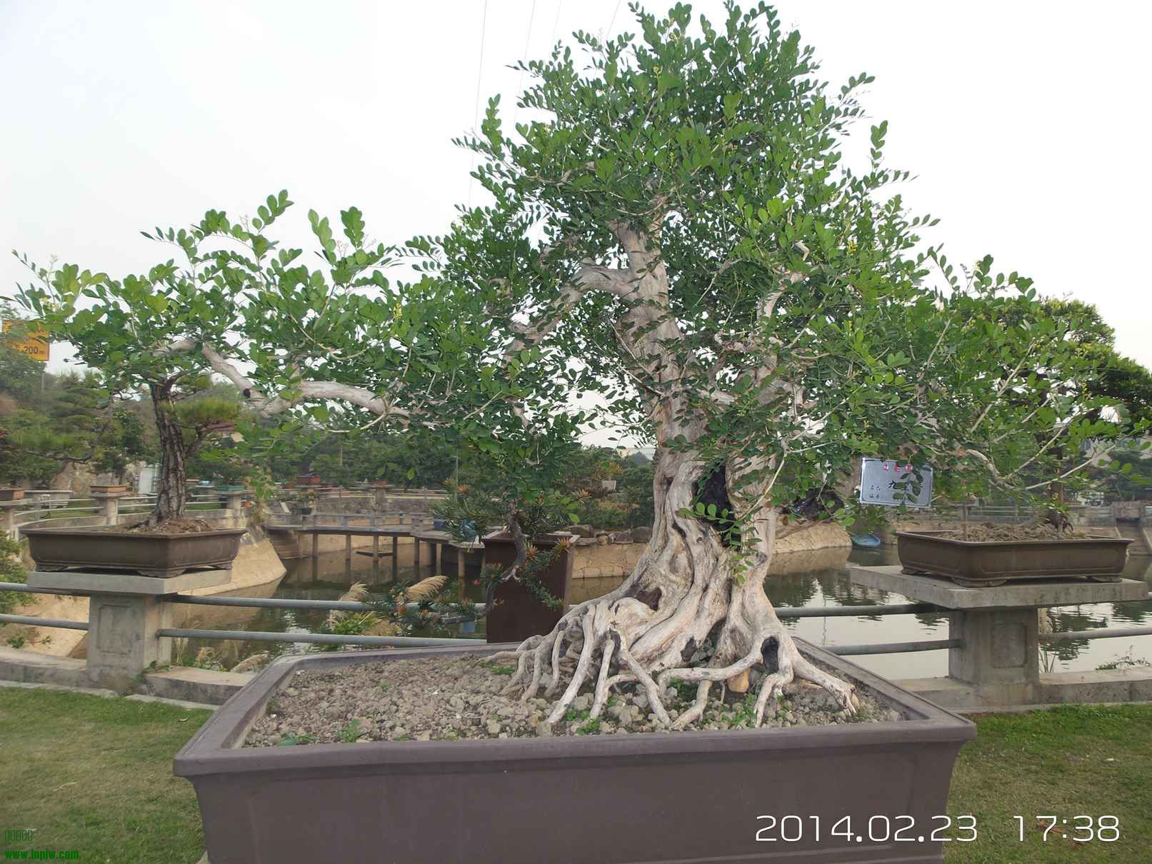 20140223_173849.jpg