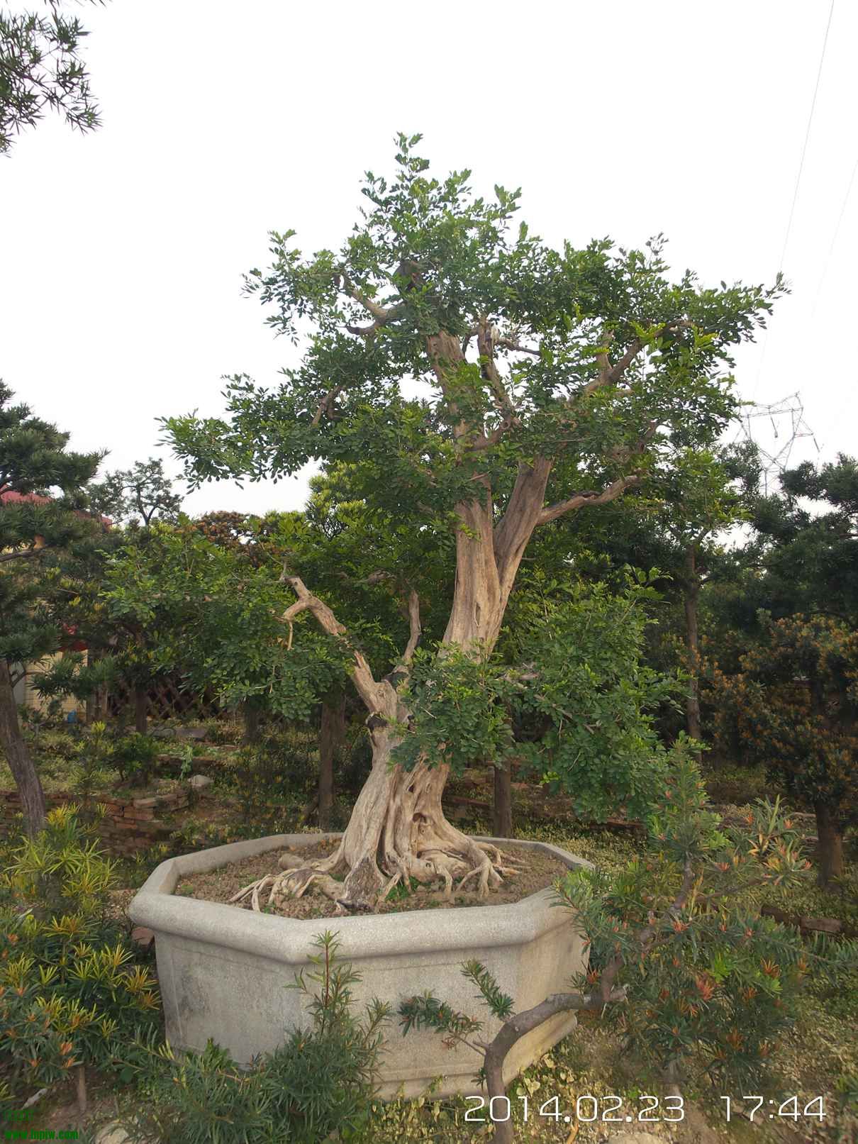 20140223_174435.jpg