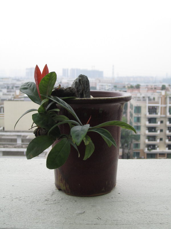2014_03.JPG