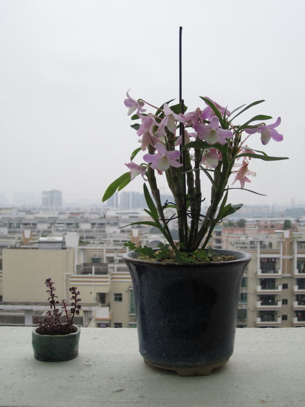 2014_5.JPG