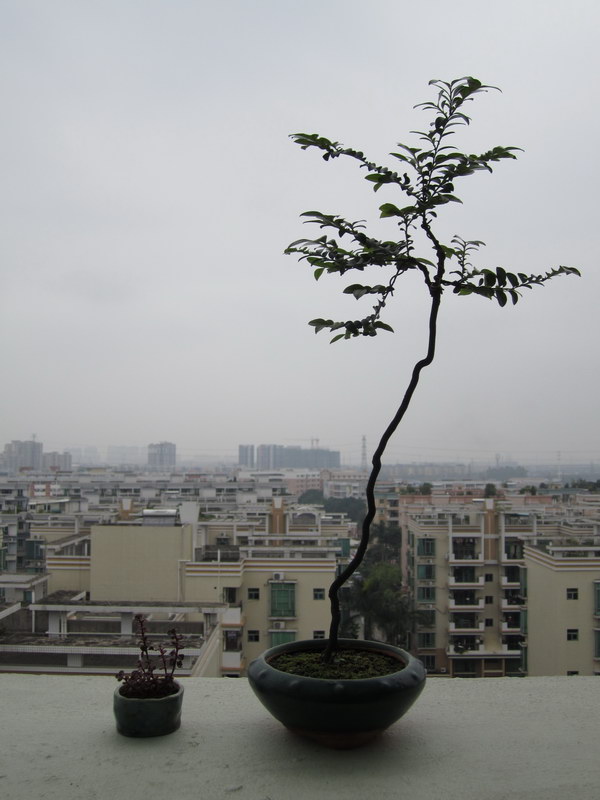 2014_6.JPG