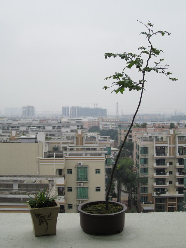 2014_7.JPG