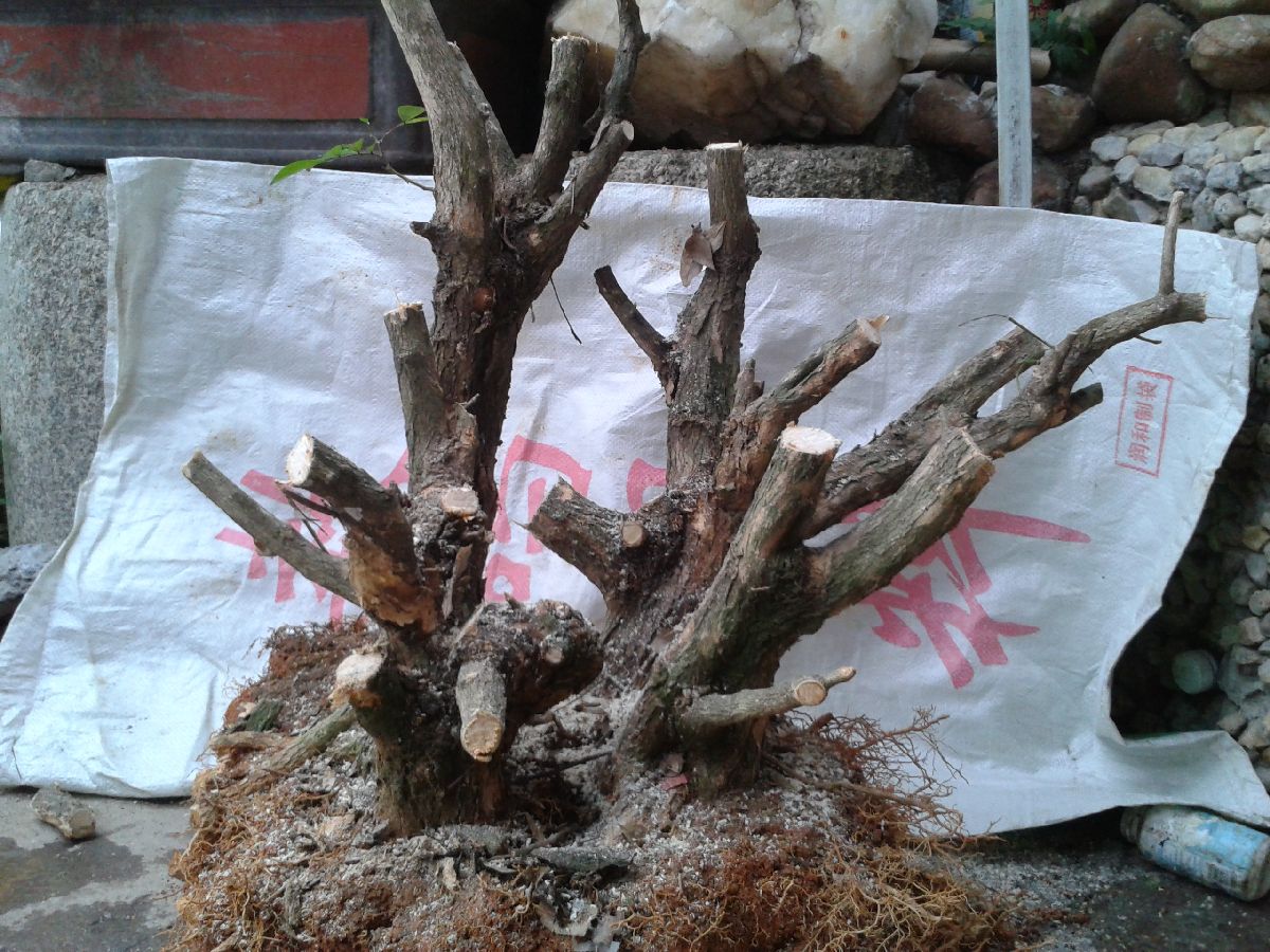 s1200_2014-04-07 17.51.56.jpg