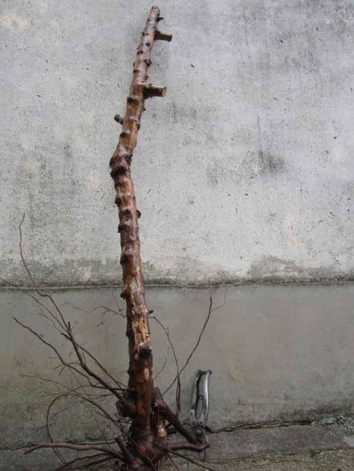 QQͼƬ20140407204009.jpg