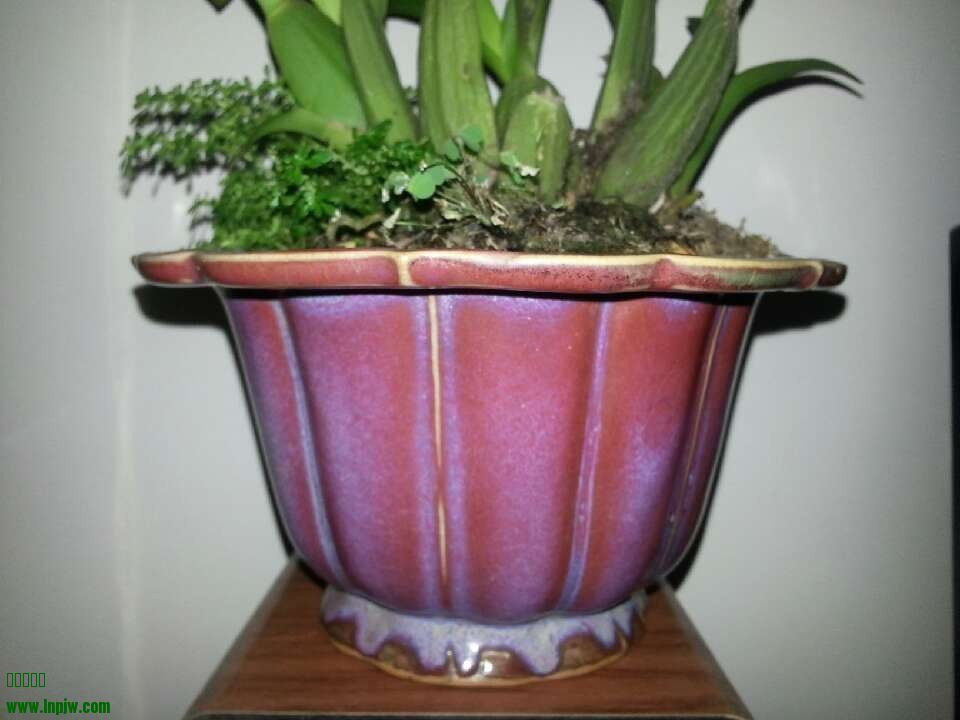 QQͼƬ20130701145509.jpg