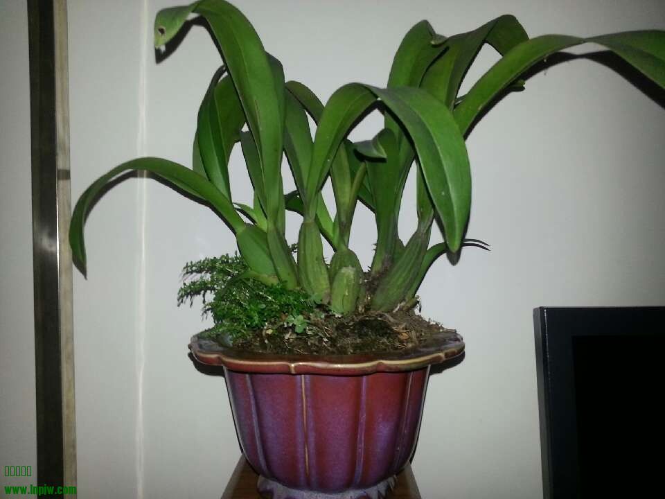QQͼƬ20130701145516.jpg