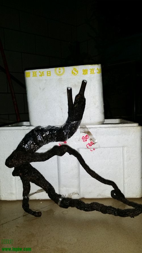 20140407_220731_.jpg