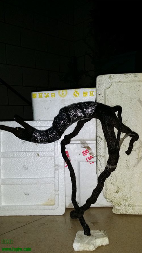 20140407_221118_.jpg