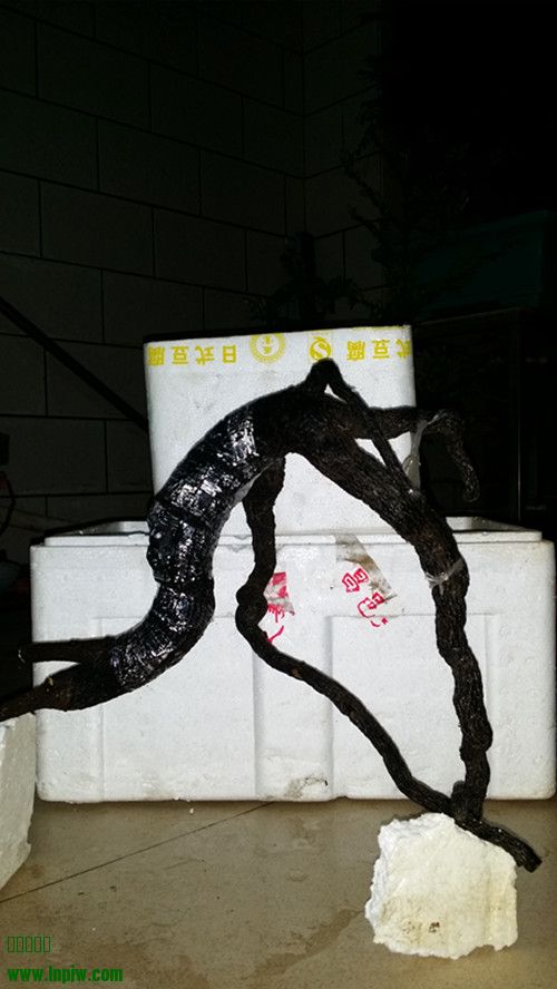 20140407_221420_.jpg