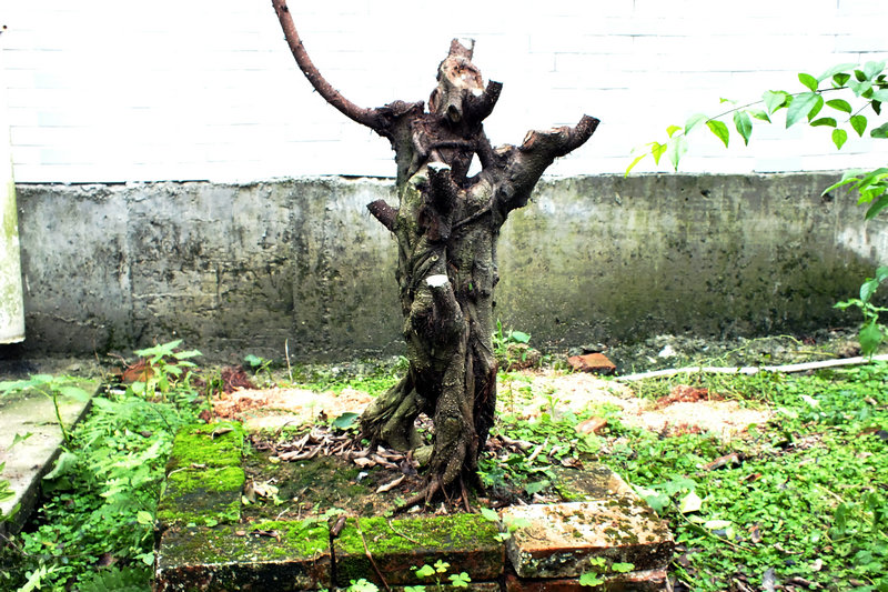 DSCF1453.JPG