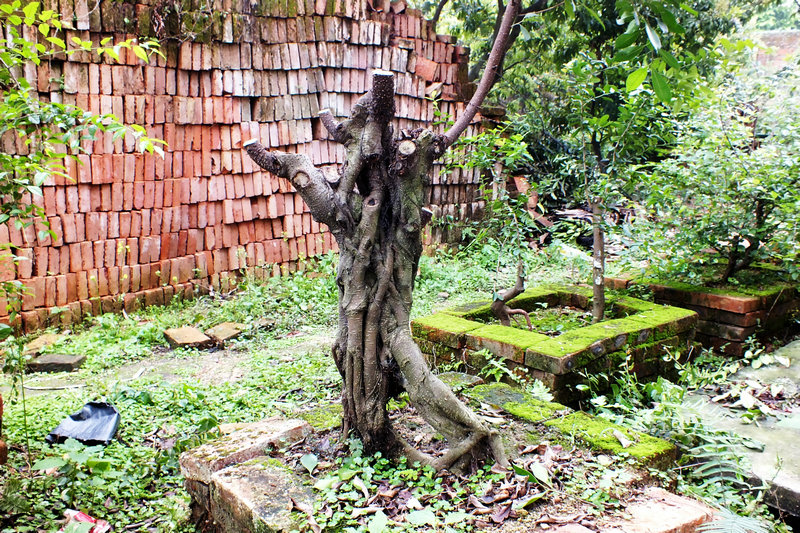 DSCF1454.JPG