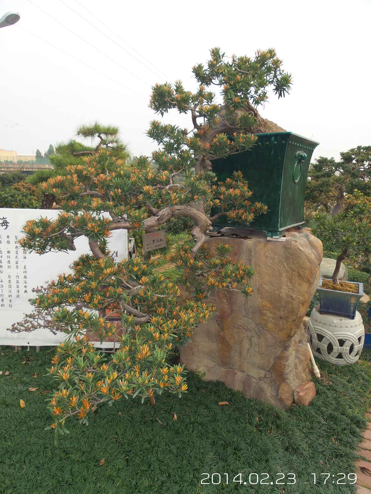 20140223_172939.jpg