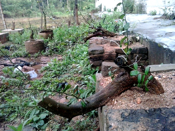20140408_181436_.jpg