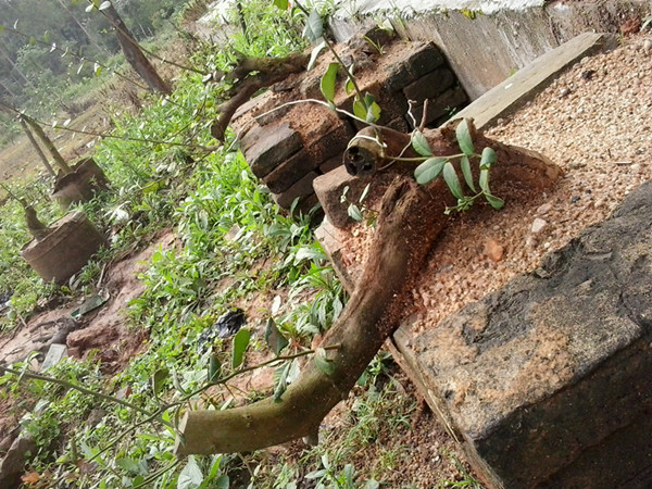 20140408_084736_.jpg