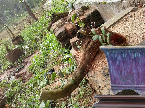 20140408_084736__.jpg