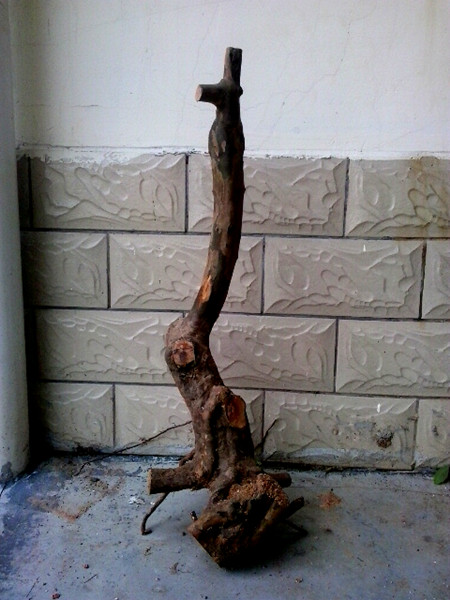 20140301_140729_.jpg