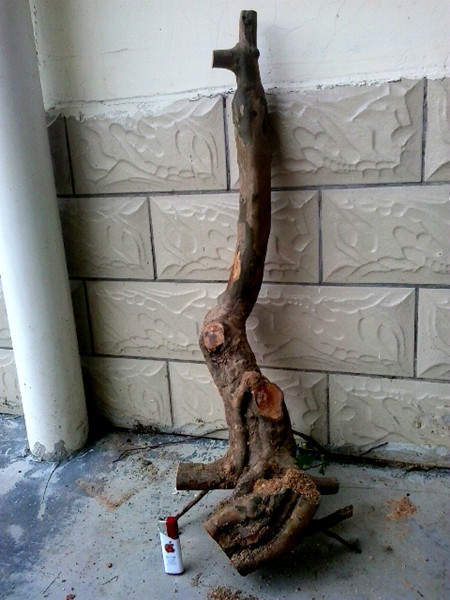 20140301_140845_.jpg