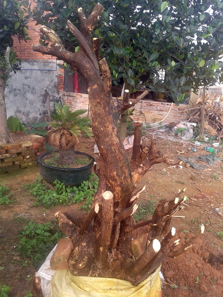 20140409_085640.jpg