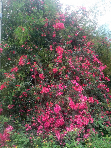 20140408_145036.jpg