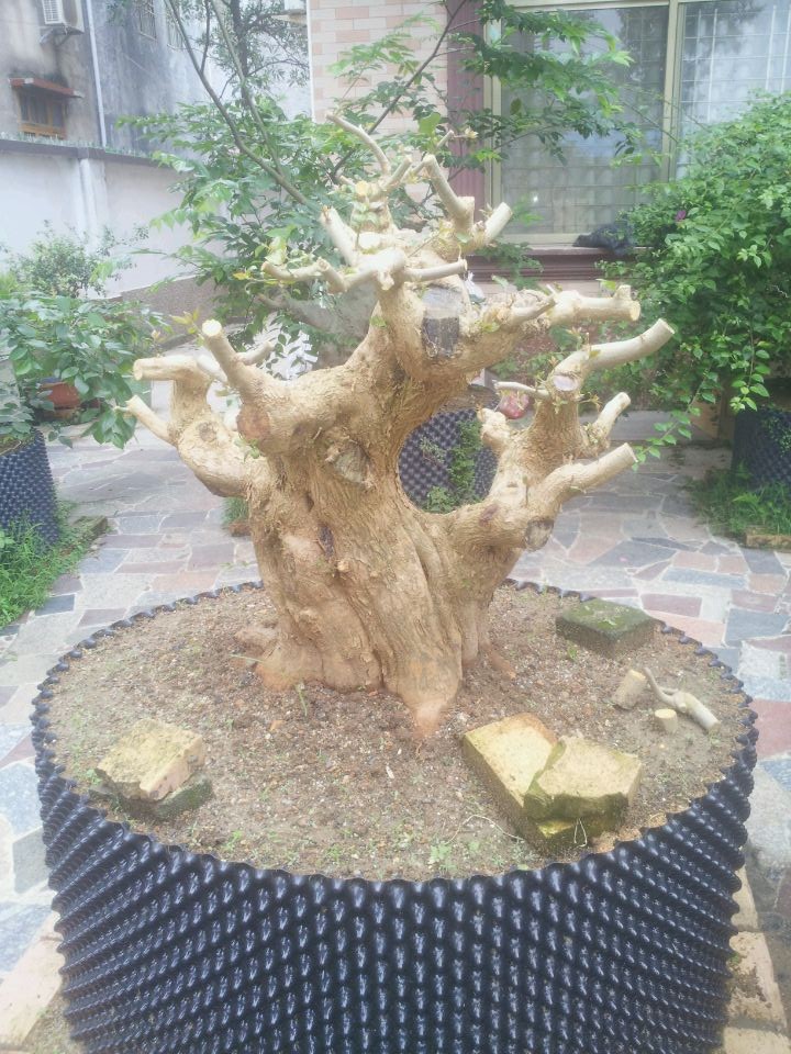 QQͼƬ20140409130515.jpg
